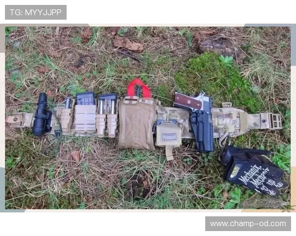 巴尔科拉仅靠速度？终结能力与战术角色分析