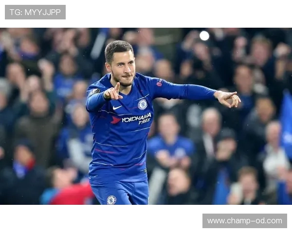 格里兹曼回撤组织与串联作用解析