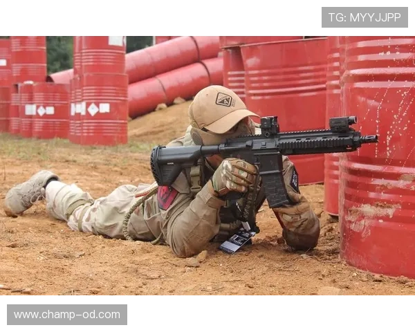 佩德里为何评价两极分化 战术适配与赛场表现差异解析