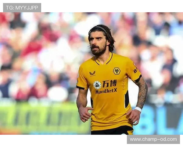 加盟狼队开启英超征程：内维斯的关键跃迁