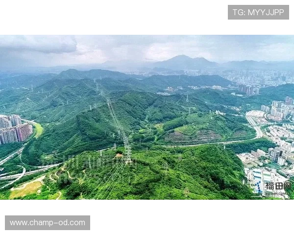 深圳新鹏城深陷保级区急需调整状态提升拿分效率